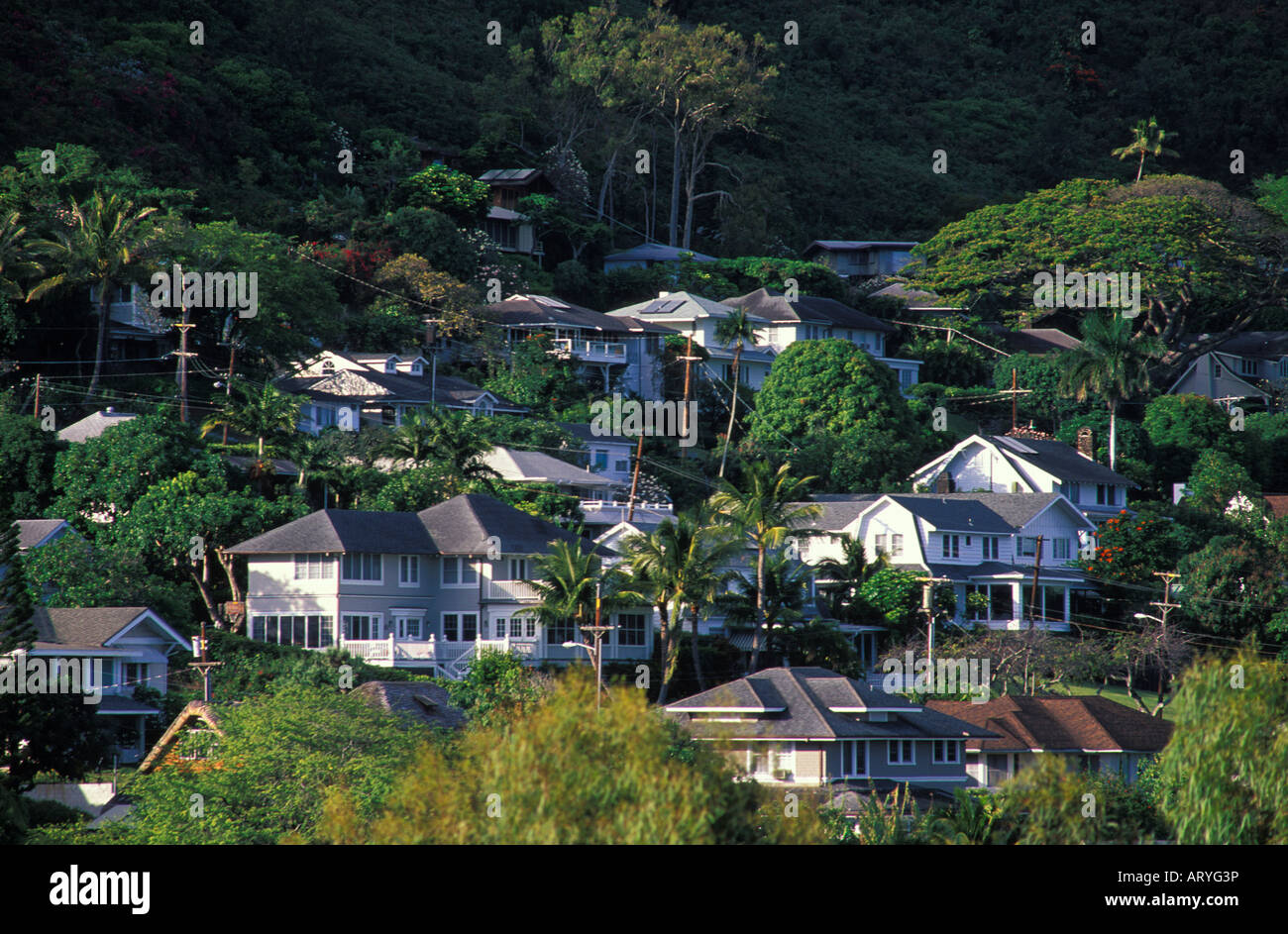 View of the houses in beautiful Manoa valley Stock Photo Alamy