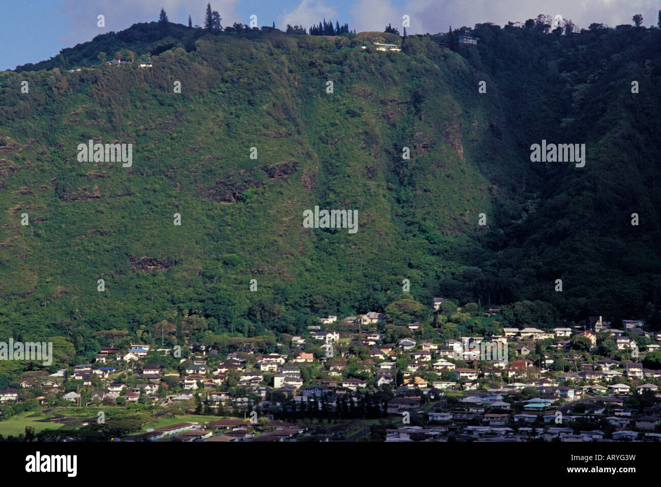 View of the houses in beautiful Manoa valley Stock Photo