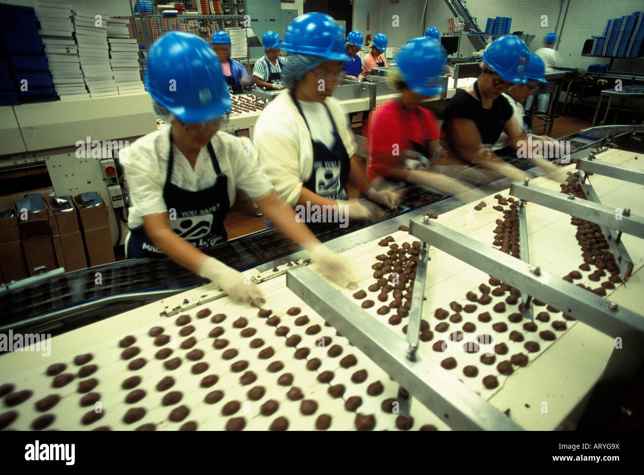 Workers on the chocolate assembly line at the Mauna Loa Macadamia Nut