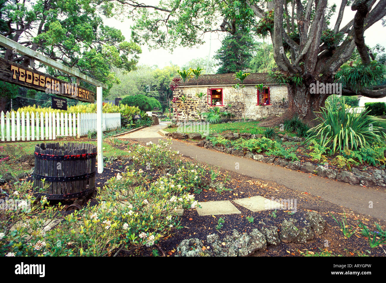 Tedeschi Winery, Mauiís only commercial winery, upcountry Maui Stock Photo