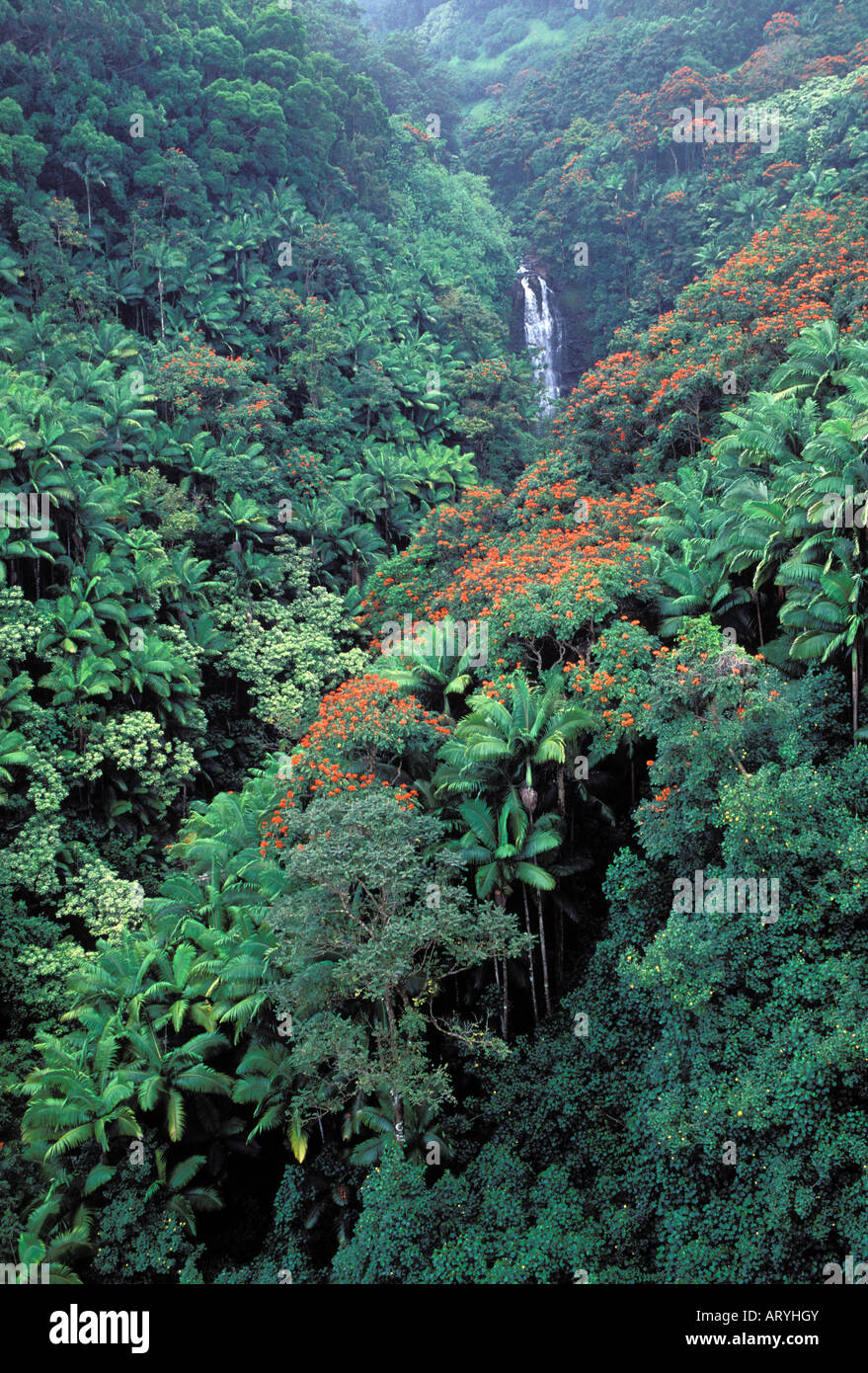Waterfall along the Hamakua Coast, Big Island Stock Photo Alamy