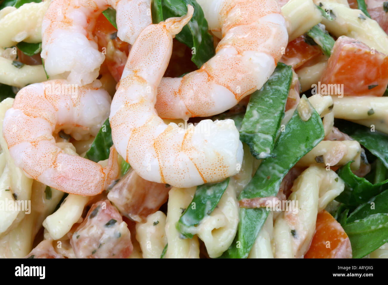 Prawn Pasta Salad Stock Photo Alamy