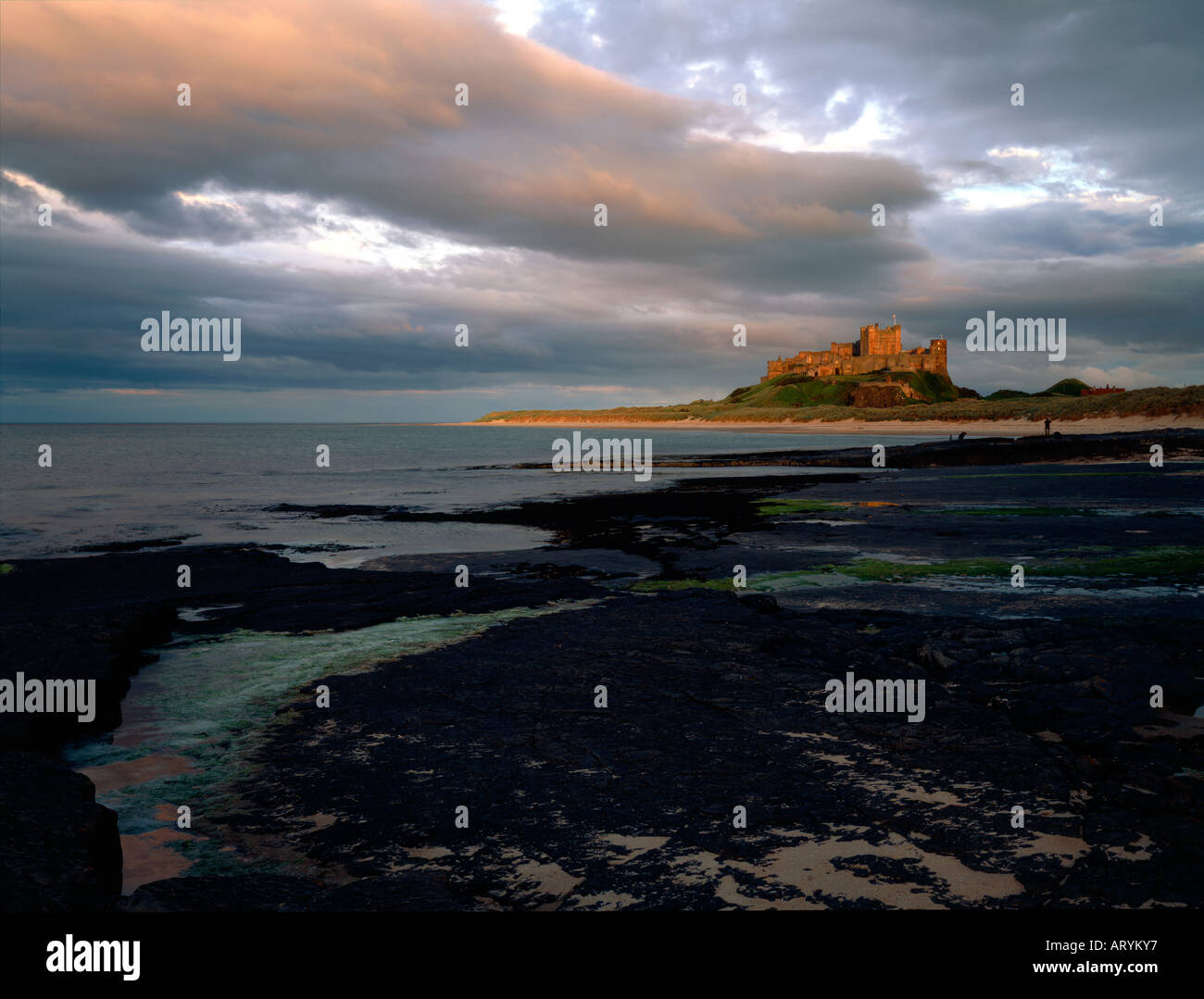 Last light Bamburgh Castle from the North Northumberland UK Stock Photo ...