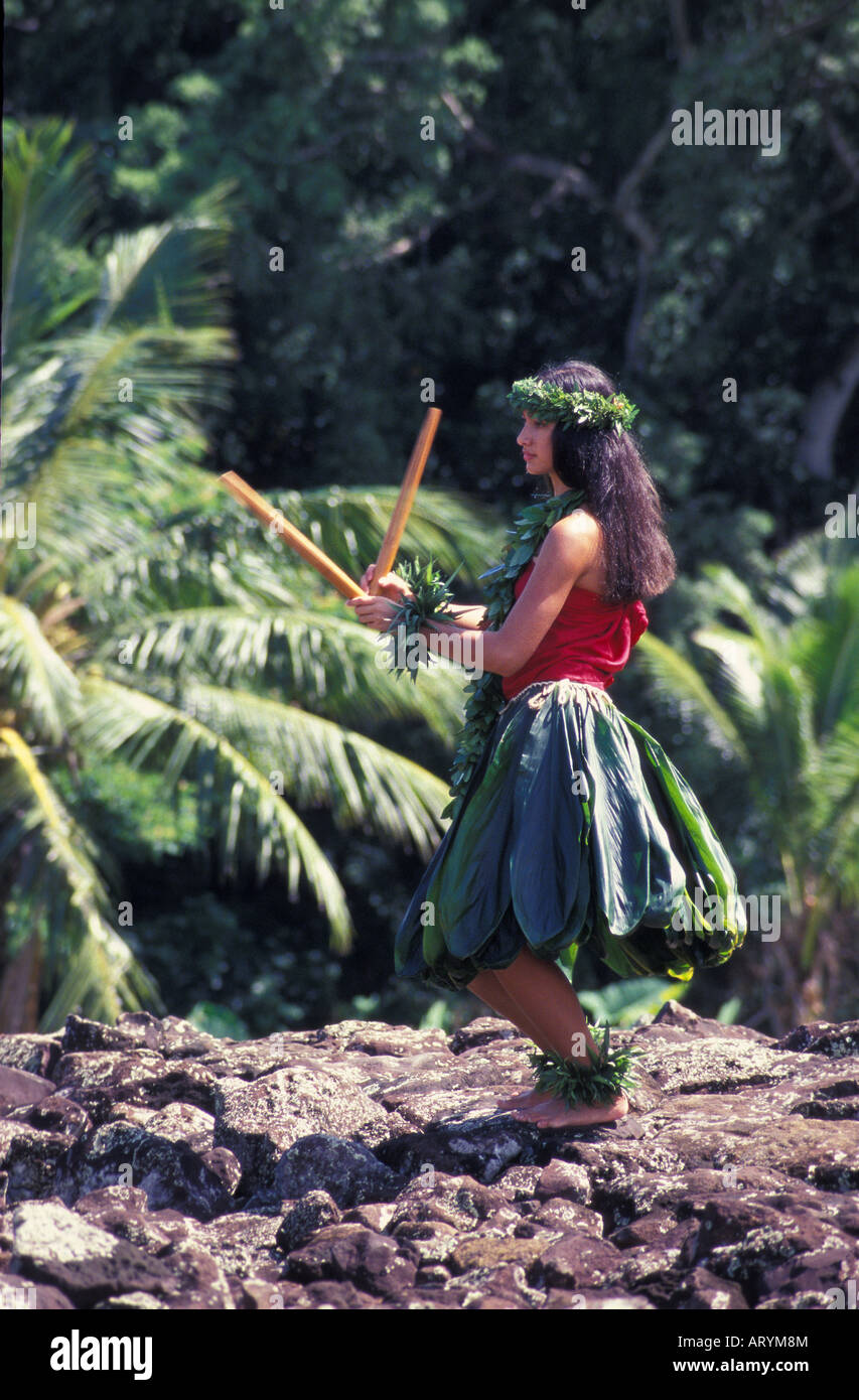 Female Hawaiian Hula dancer wearing coconut bikini, yellow lei, and leaf  skirt - SuperStock