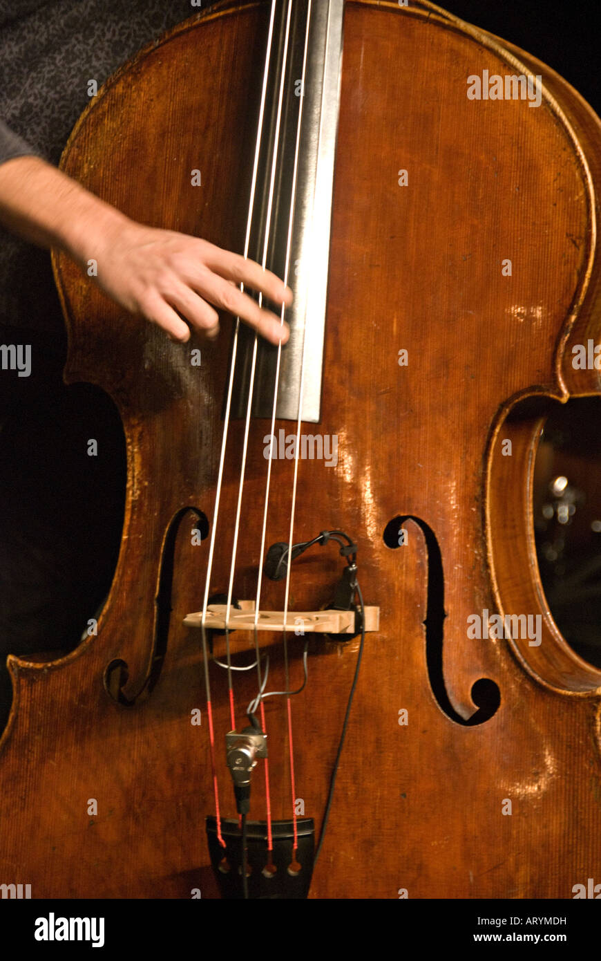 Double bass player hires stock photography and images Alamy