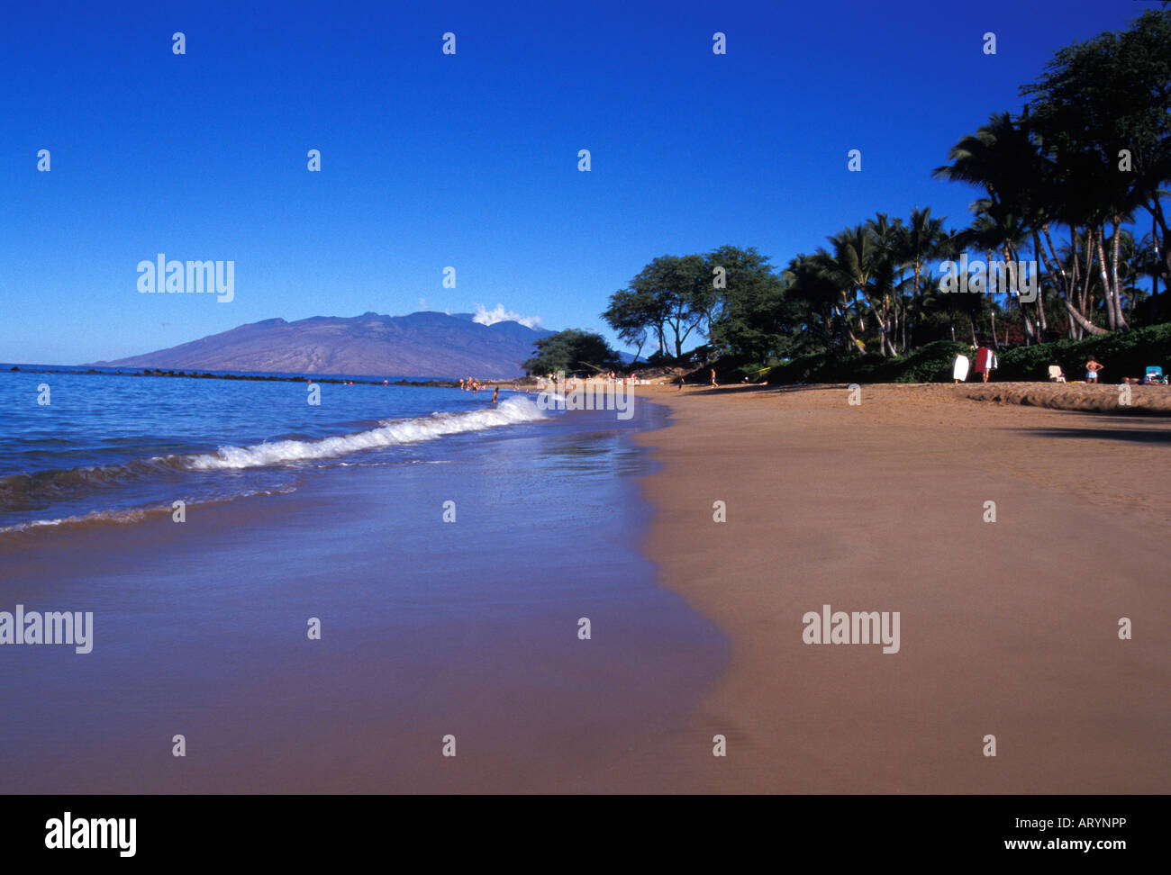 Ulua Beach on Maui's South Side is one of Maui's best and most popular