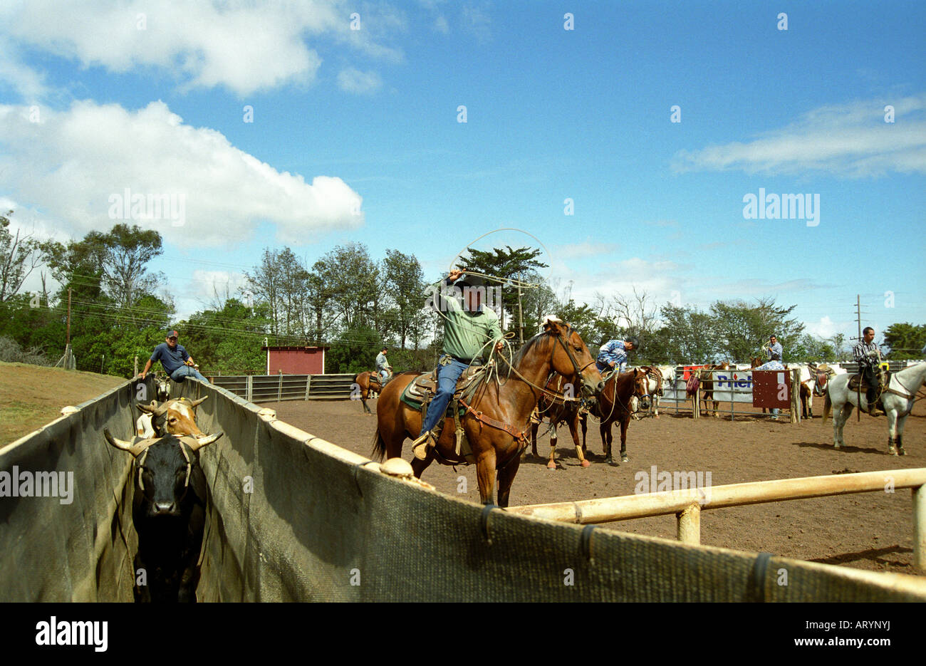 Makawao rodeo hires stock photography and images Alamy