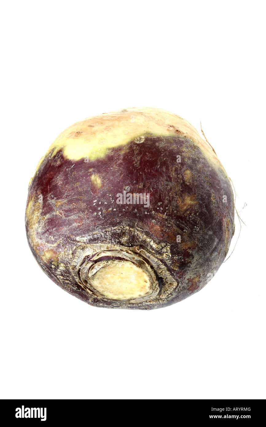 Swede Stock Photo Alamy