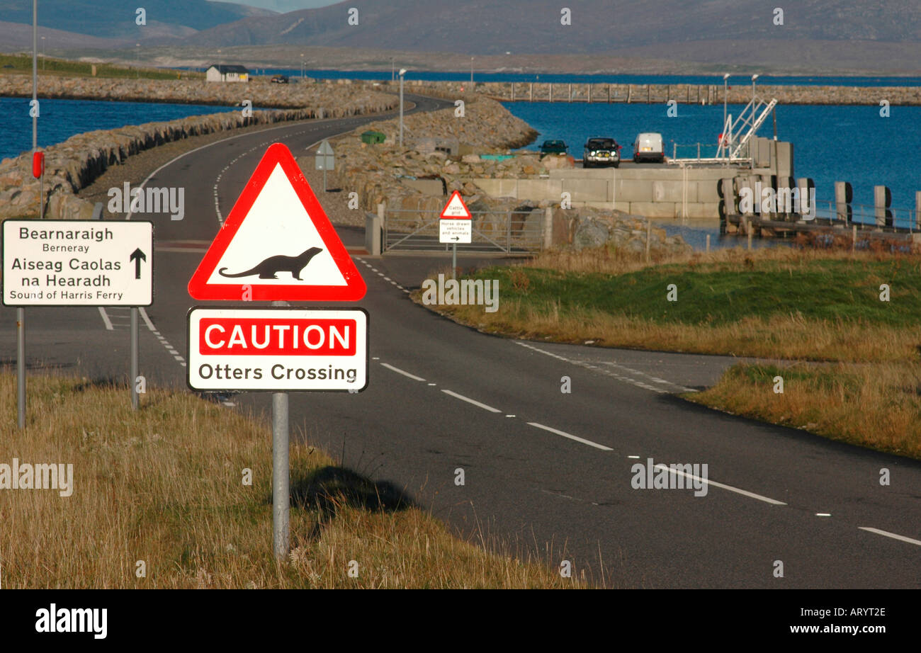 Sign warning of otters crossing the road Stock Photo
