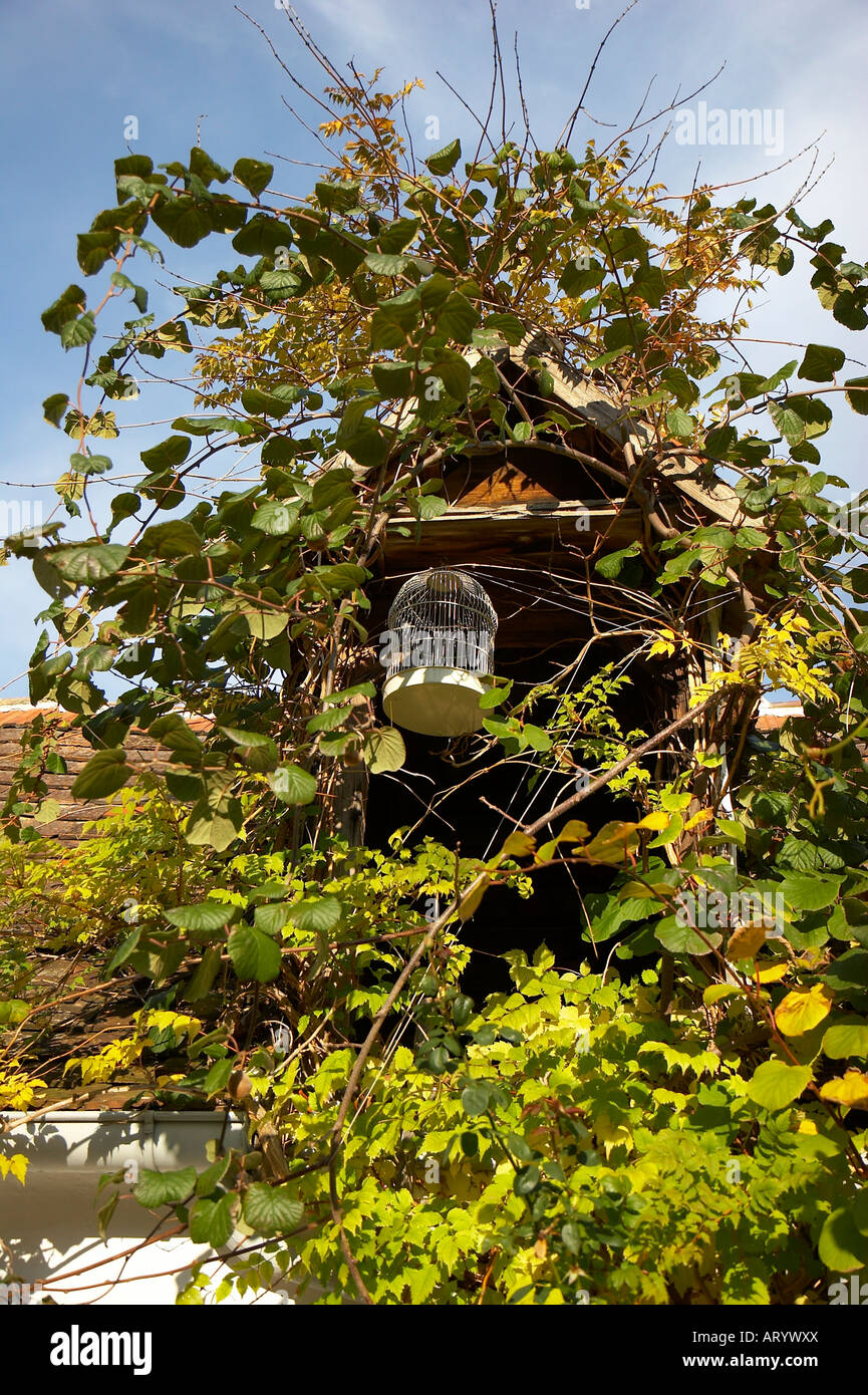 Overgrown plants in buildings hi-res stock photography and images - Alamy