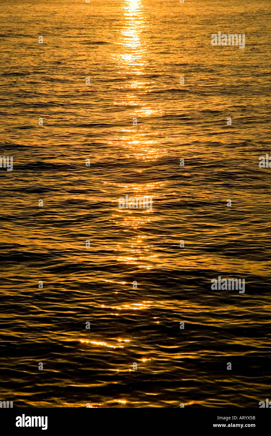 Undulation of the sea with natural golden sunlight Stock Photo - Alamy