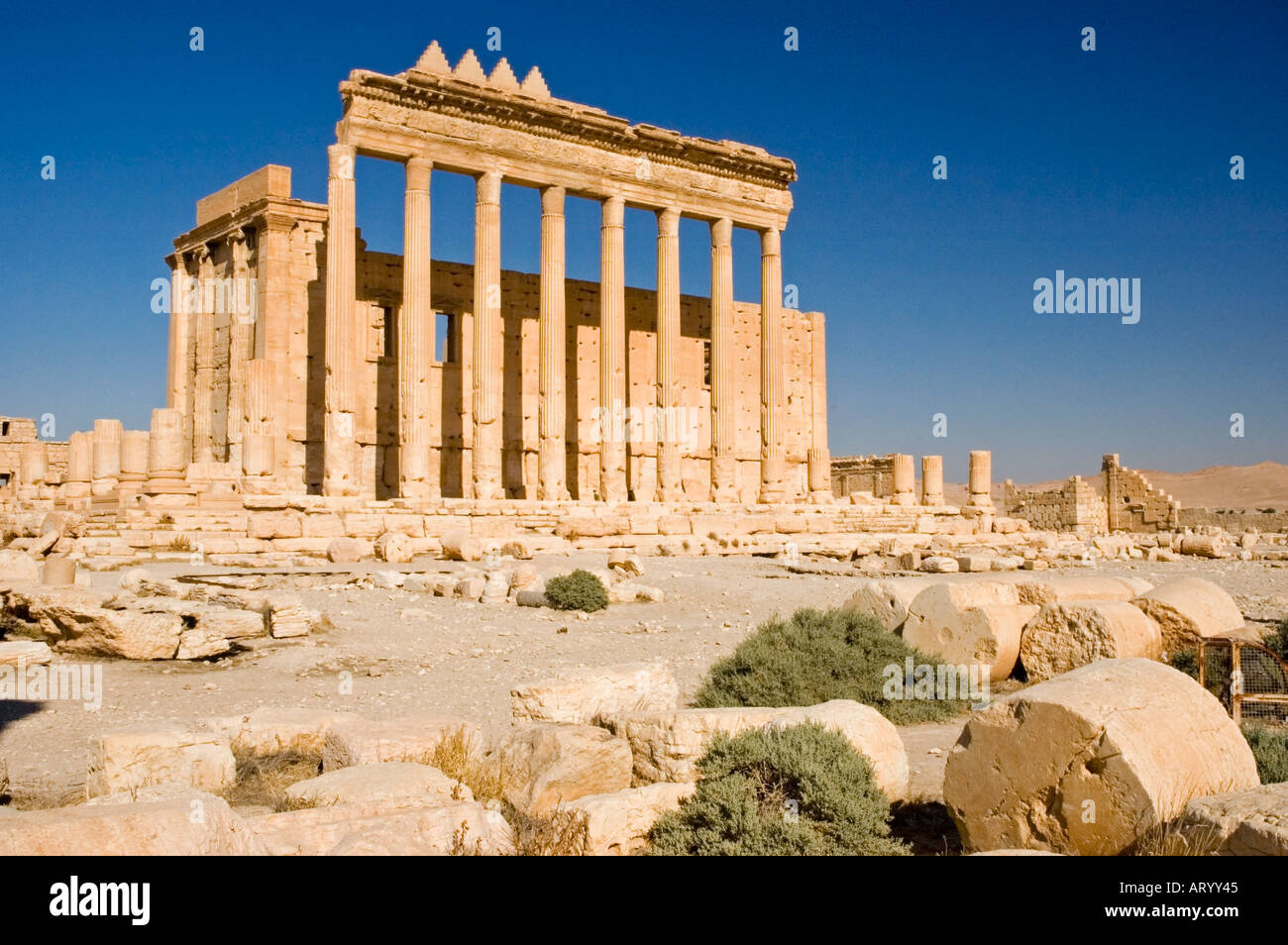 Central cella, Temple of Bel, Bal, amongst Ruins ancient Tadmor, Palmyra, Central Syria, Middle East. DSC 5929 Stock Photo
