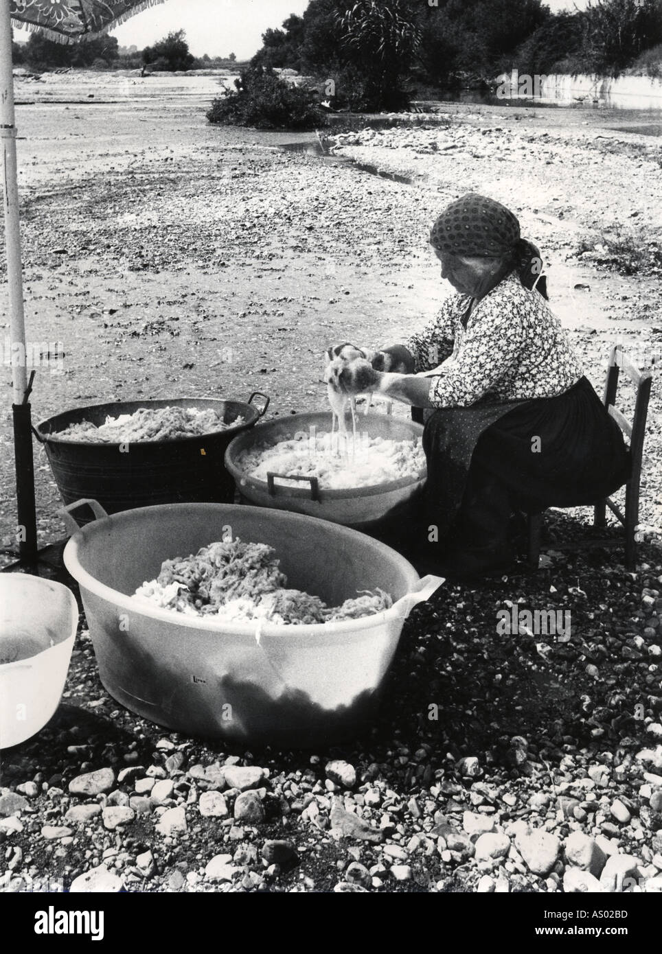 Wool cleaning process Stock Photo Alamy