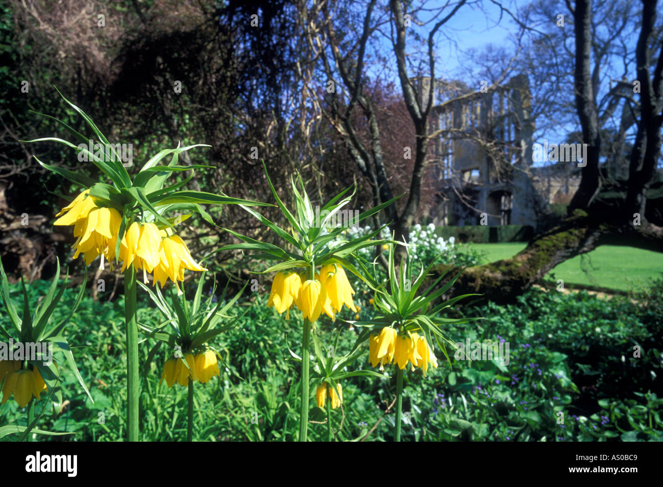 Imperial bed hires stock photography and images Alamy