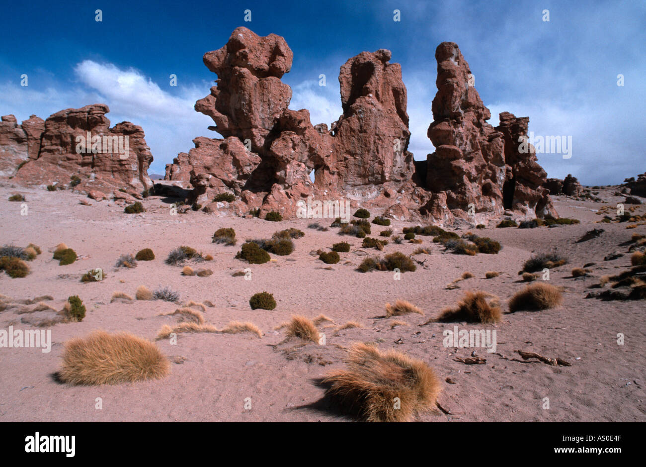 Valle de las Rocas Bolivia Stock Photo - Alamy