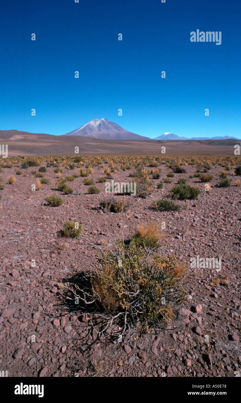 Desierto de Siloli Bolivia Stock Photo Alamy