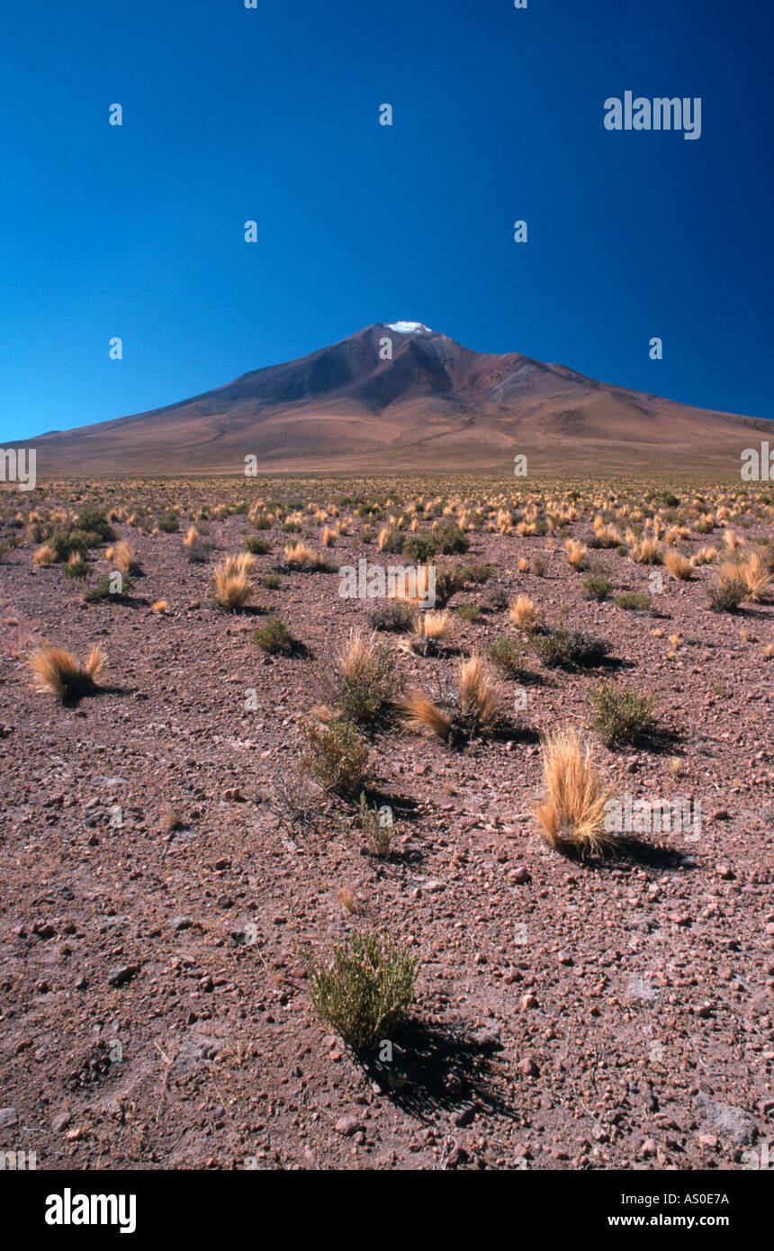 Desierto de Siloli Bolivia Stock Photo