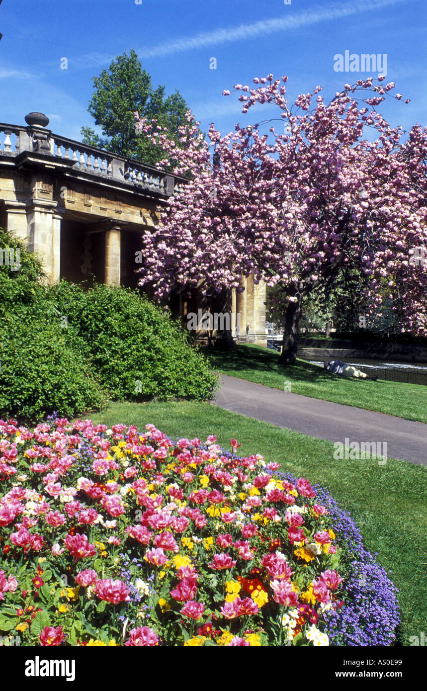 Bath botanical gardens hi-res stock photography and images - Alamy