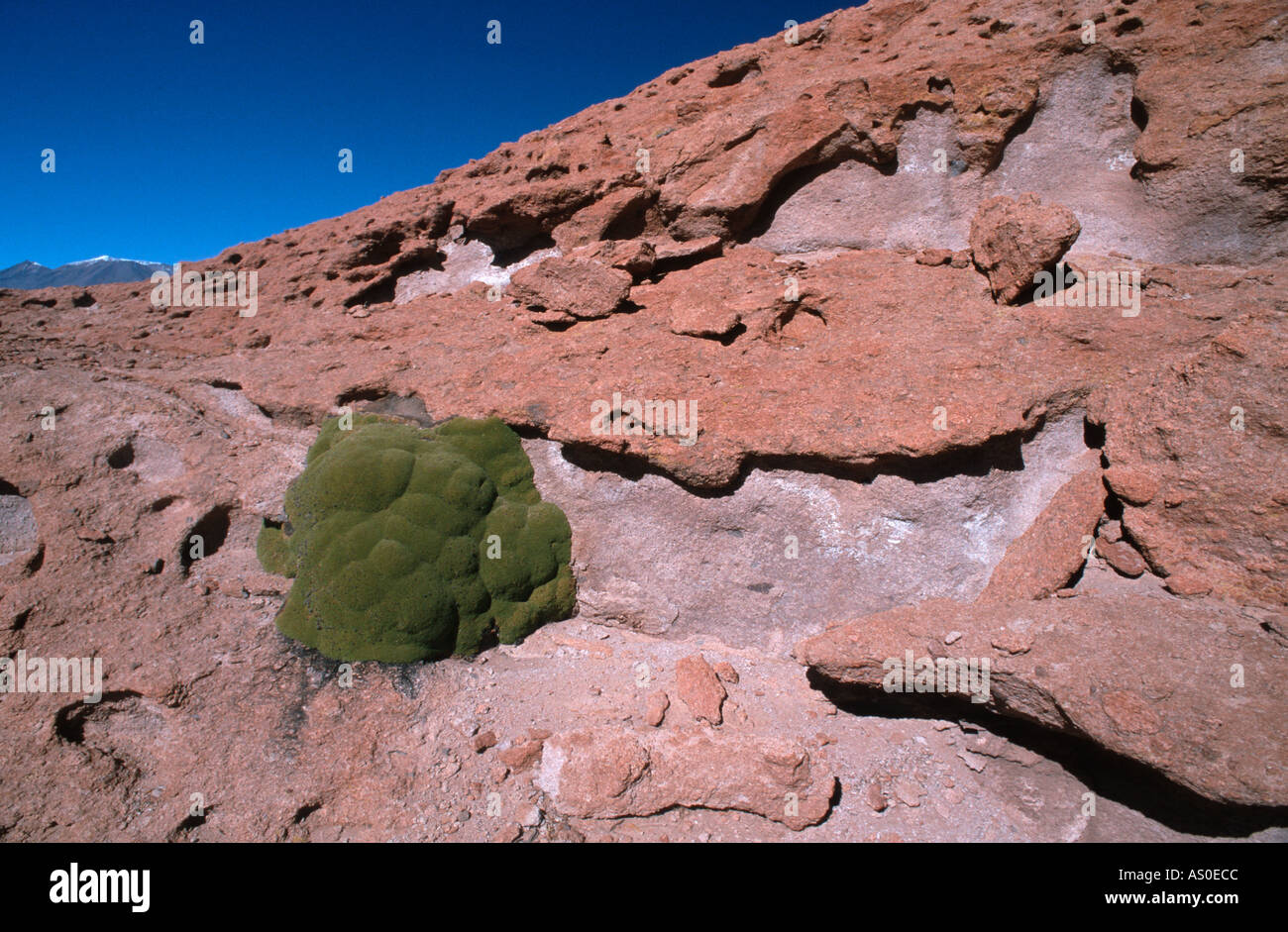 Desierto de Siloli Bolivia Stock Photo Alamy