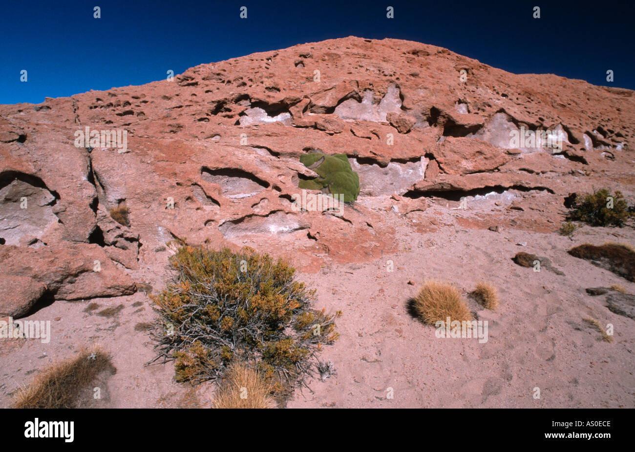 Desierto de Siloli Bolivia Stock Photo Alamy