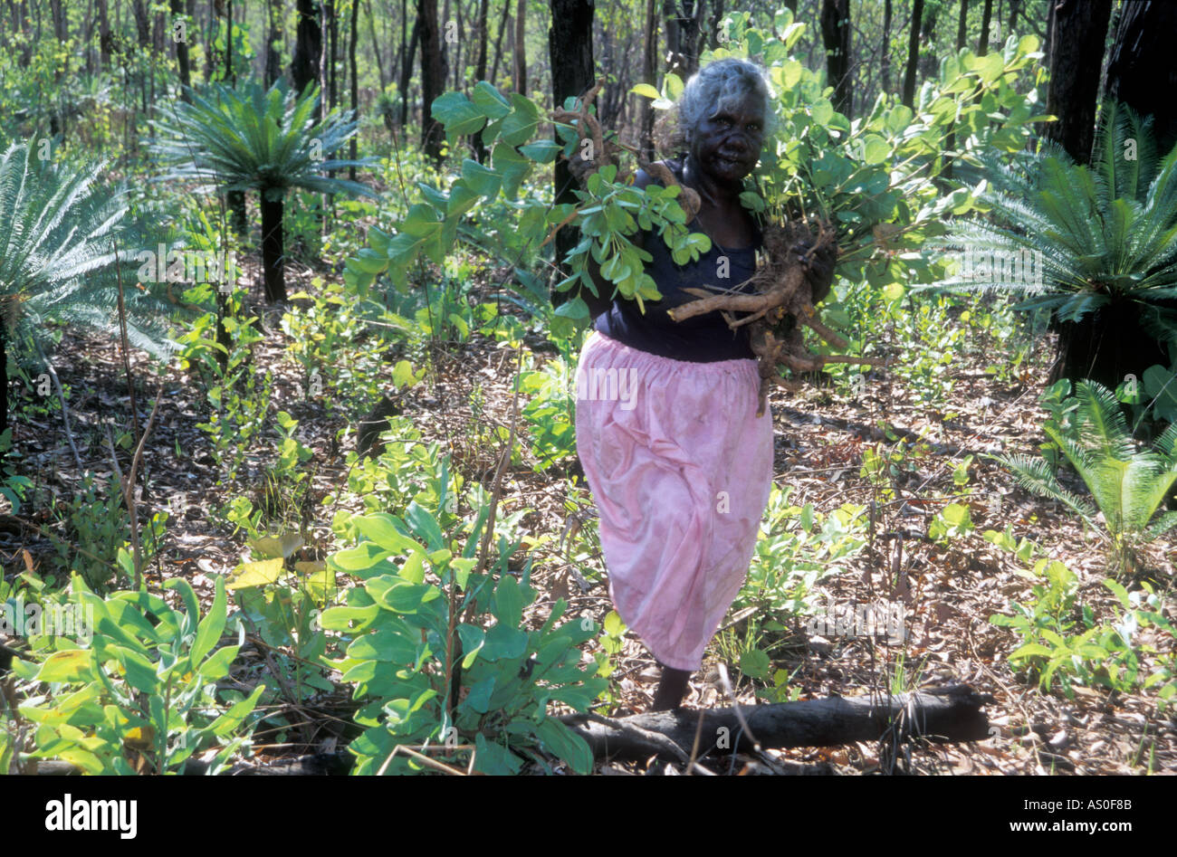 Aboriginal women weaving australia hi-res stock photography and images ...
