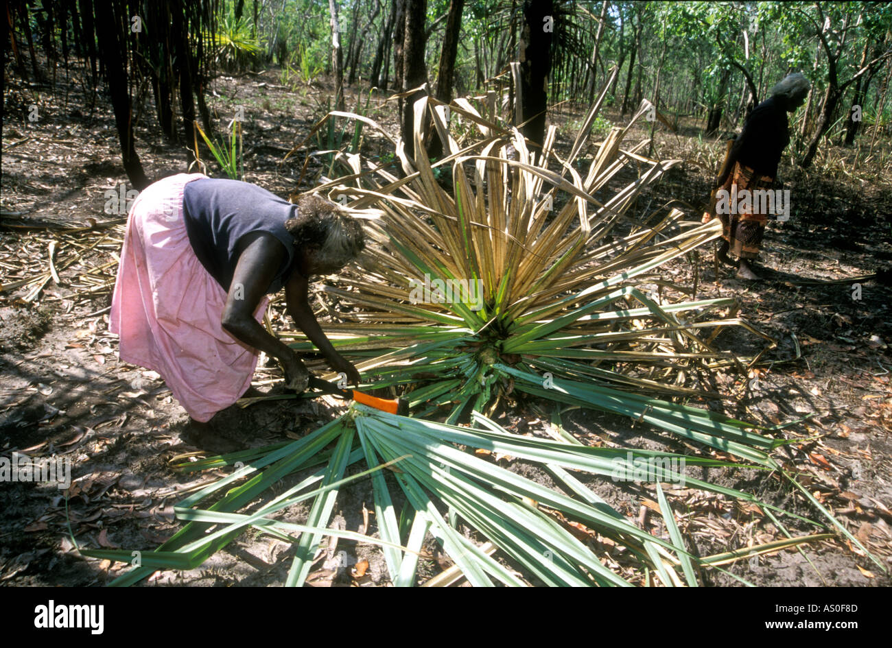 Aboriginal women weaving hires stock photography and images Alamy