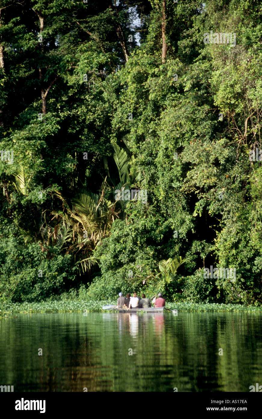 Eco tourists watch wildlife from a boat at Tortuguero National Park Limón Costa Rica Stock Photo