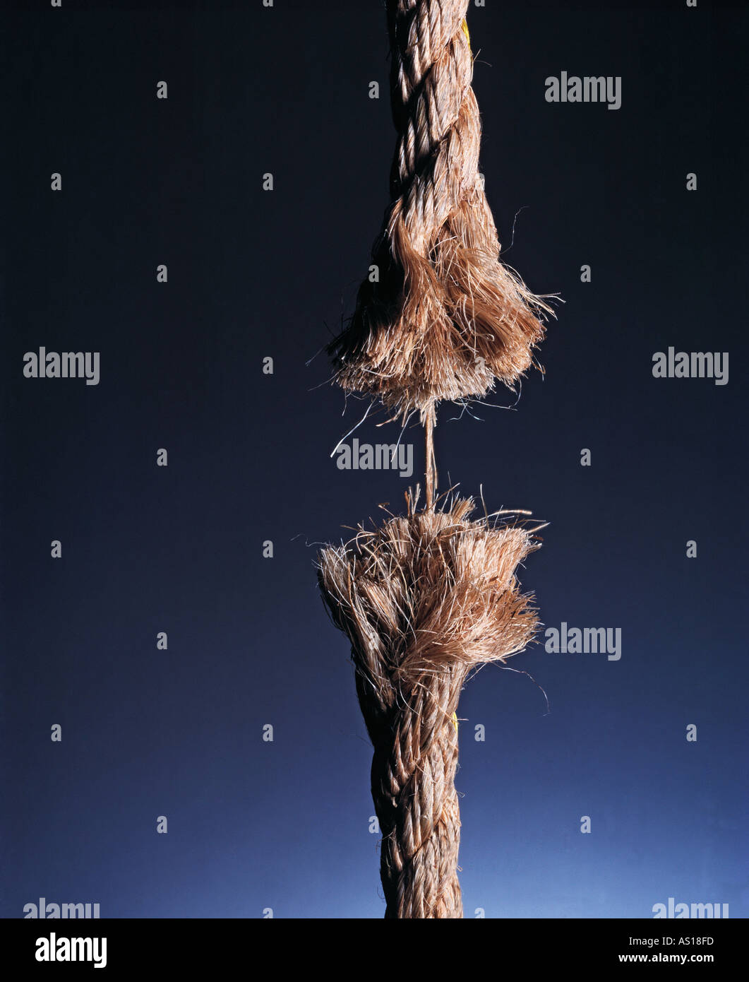 Hanging by a thread hi-res stock photography and images - Alamy