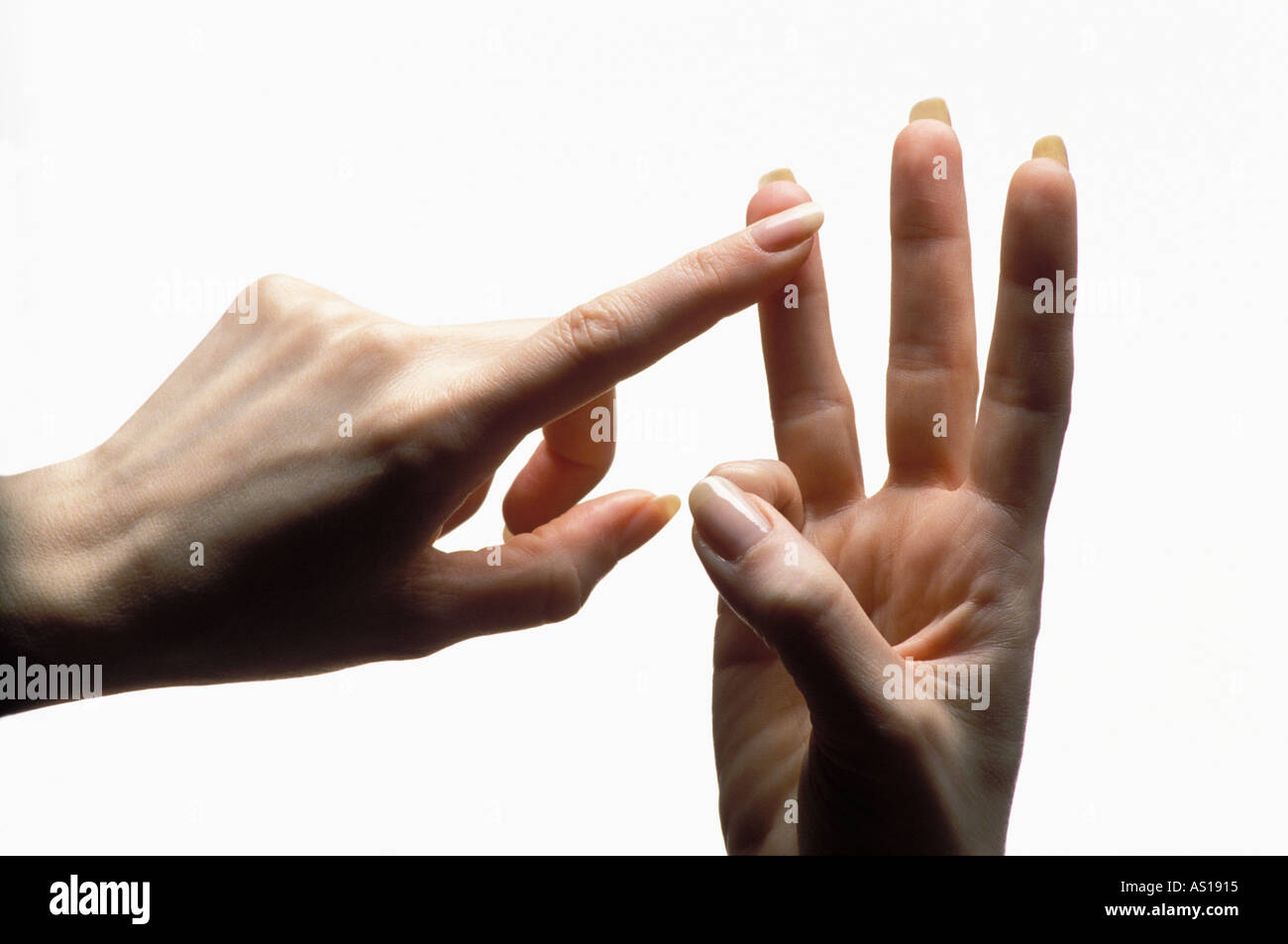 Woman's hands counting  to 3 on her  fingers silhouetted on white background Stock Photo