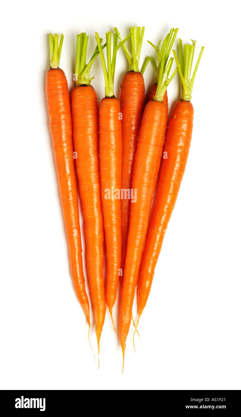 bunch of carrots Stock Photo