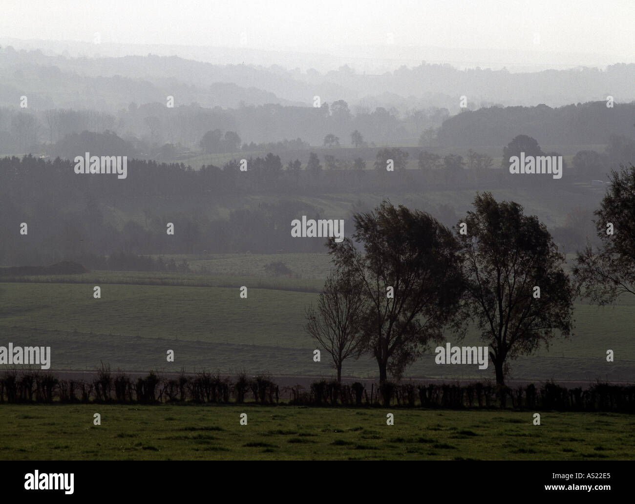 Epen bei Gulpen, Landschaft, Morgennebel Stock Photo