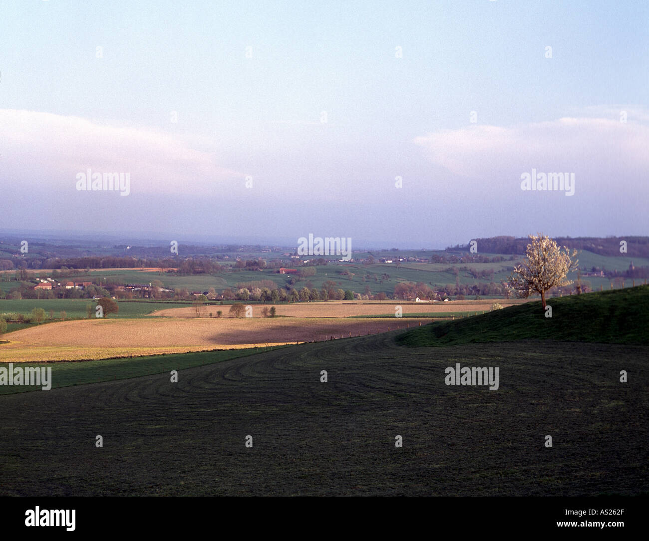 Epen bei Gulpen, Landschaft, Stock Photo