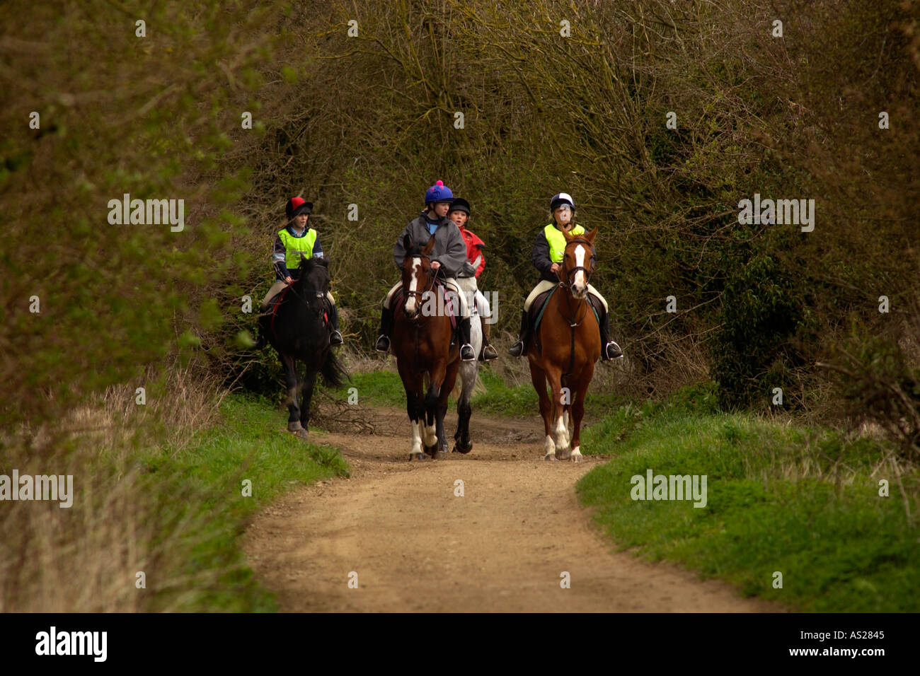 Horse riders on The Ridgeway National Trail byway near Compton