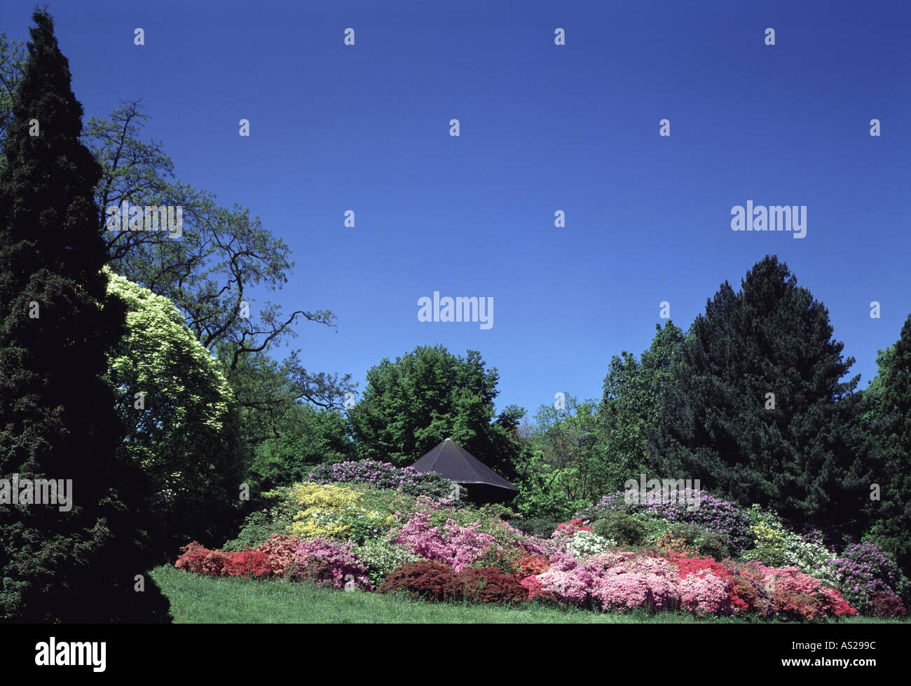 Rombergpark botanical garden hires stock photography and images Alamy
