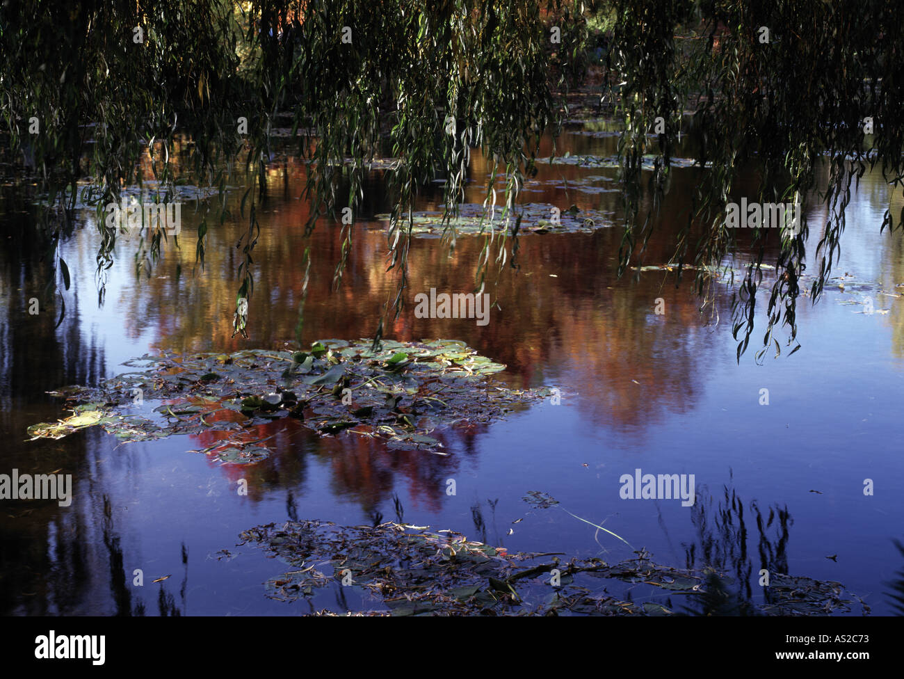 Giverny, Musée Claude Teich mit Seerosen Stock Photo Alamy
