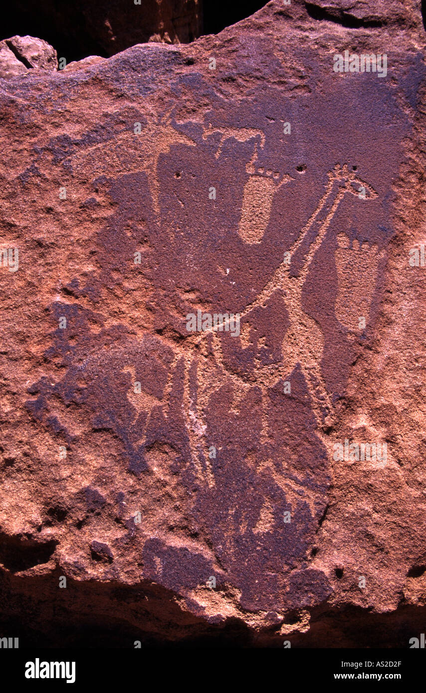 Rock engravings of animals and human footprints at Twyfelfontein in Namibia Stock Photo