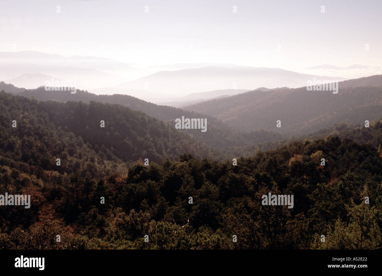 Reserva de la Pena, Landschaft Stock Photo