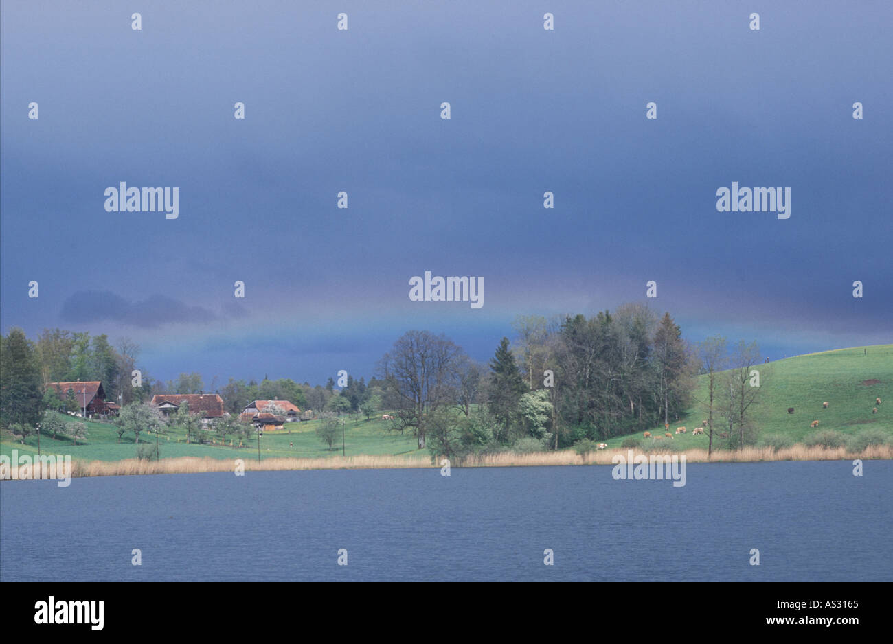 Rainbow over dairyfarms on Dittlig Lake Guerbe valley Canton Bern Switzerland Stock Photo
