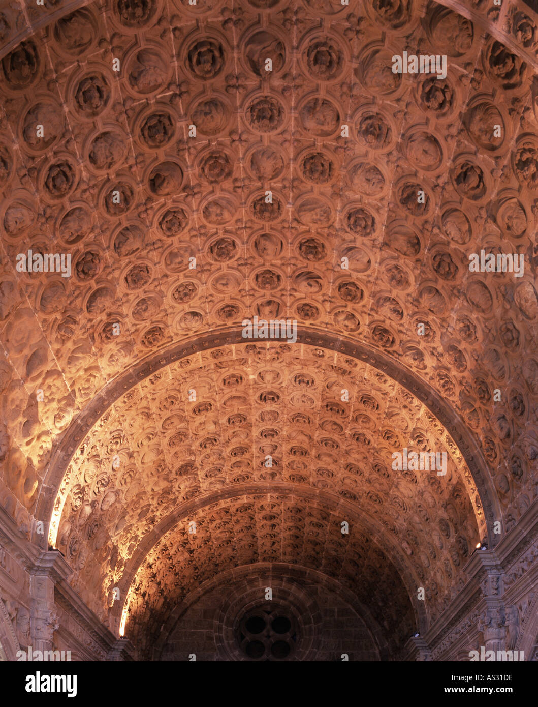 Siguenza, Kathedrale, Gewölbe der Sakristei Stock Photo