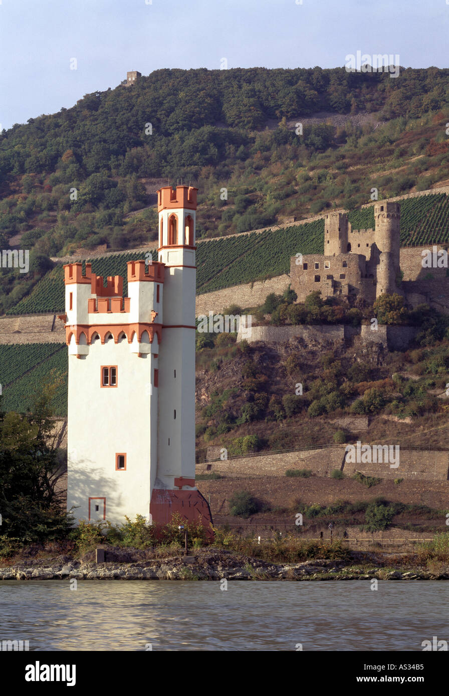 Bingen, Mäuseturm und Burgruine Ehrenfels, Aussenaufnahme Stock Photo