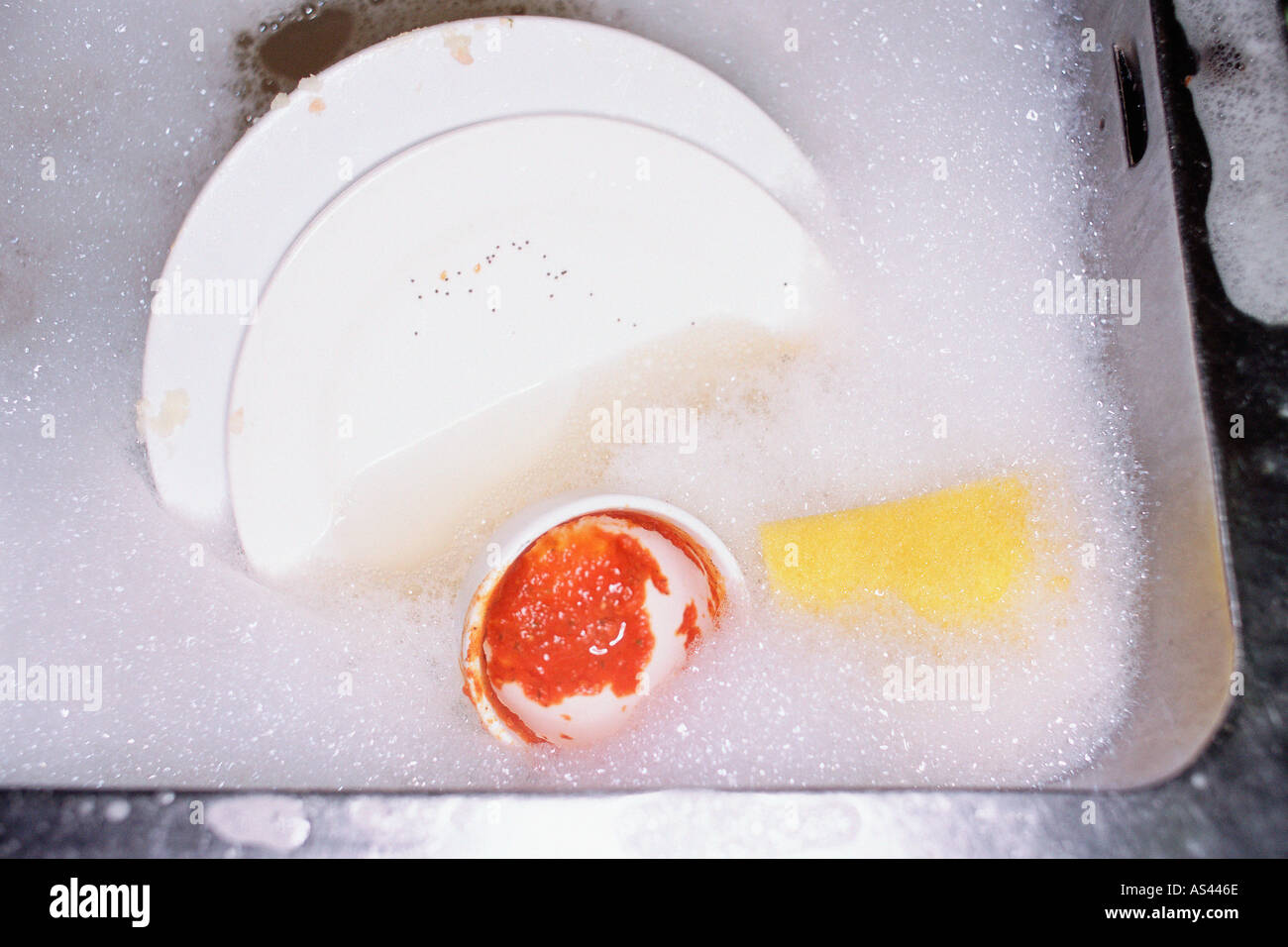 Sponge soaking up water hires stock photography and images Alamy