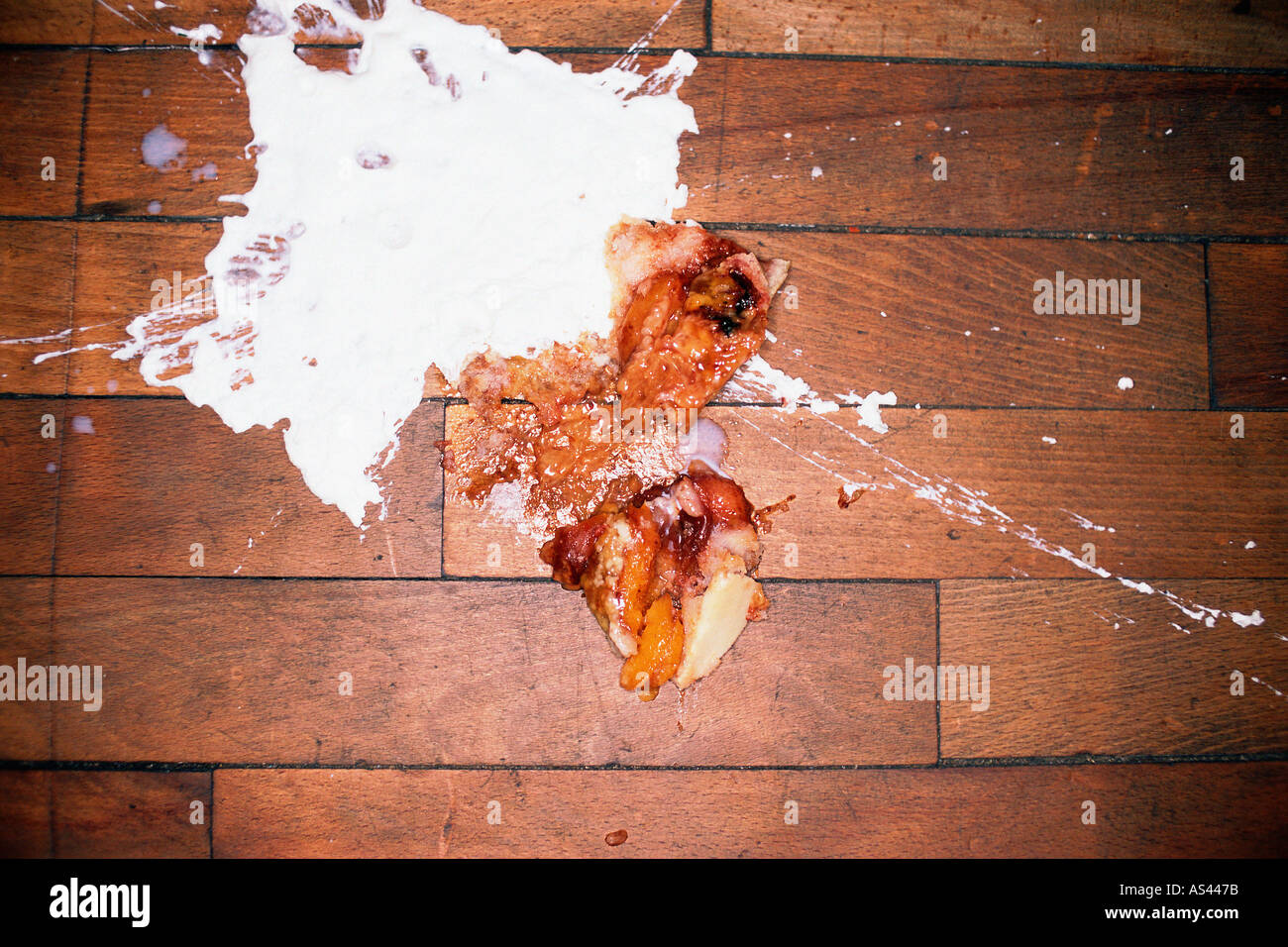 Food in a mess on the floor Stock Photo - Alamy