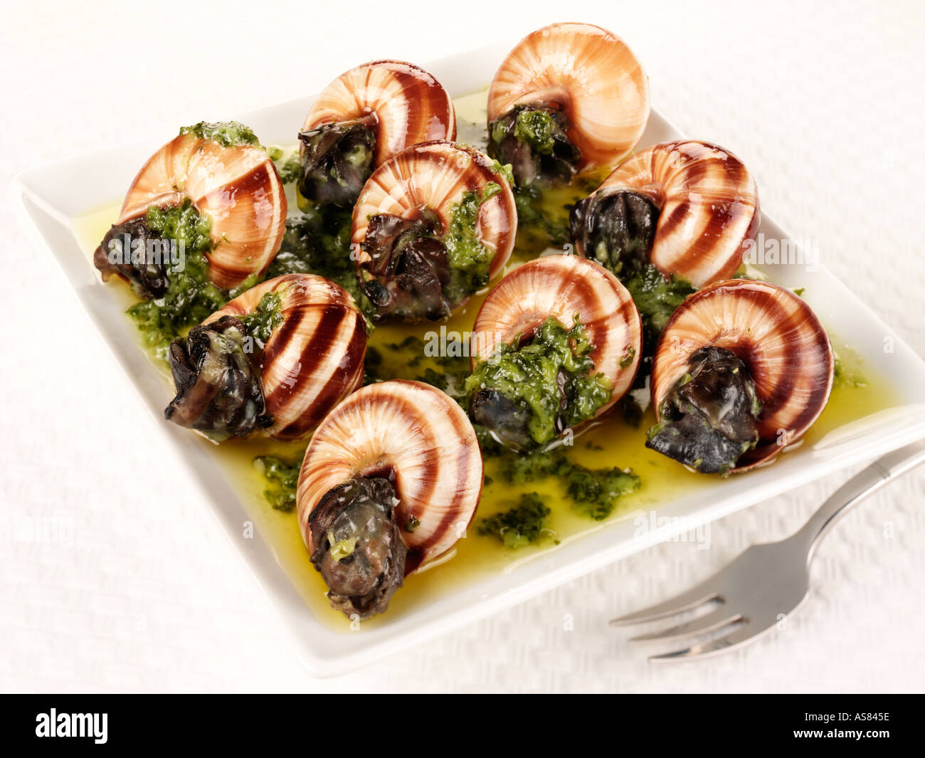 ESCARGOT SNAILS WITH GARLIC BUTTER Stock Photo Alamy