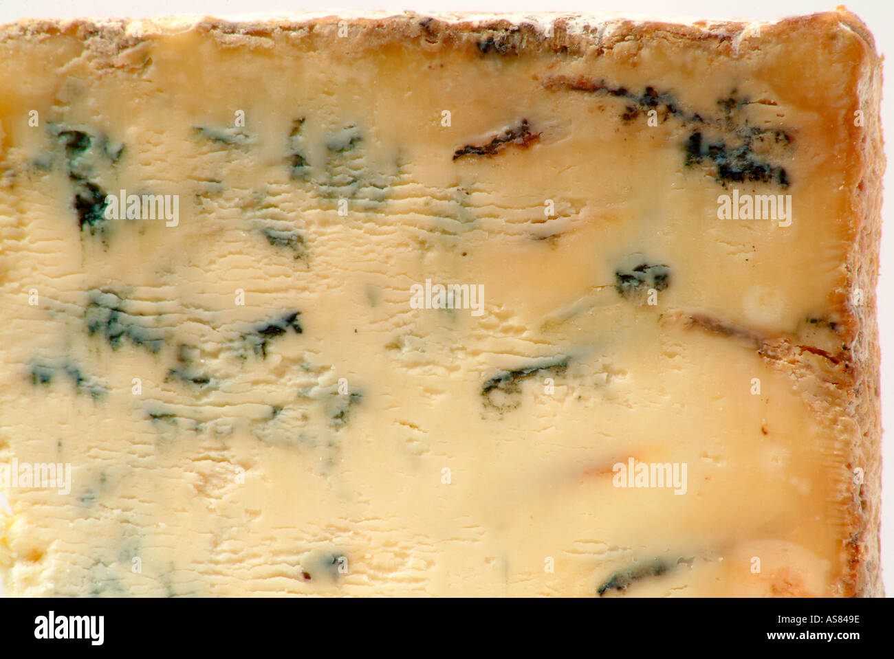 detail of blue stilton cheese Stock Photo Alamy