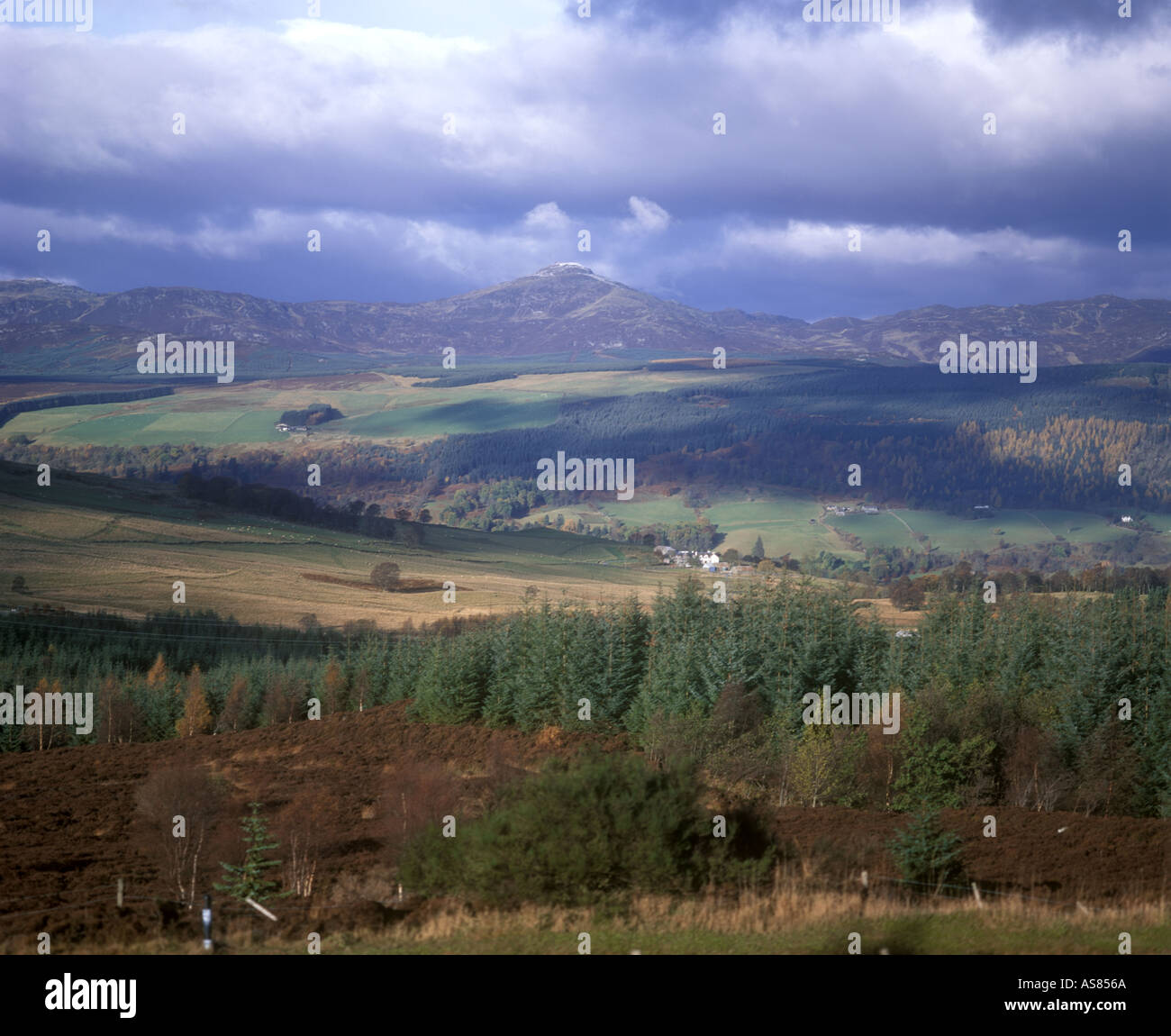 Woodlandlandscape hi-res stock photography and images - Alamy