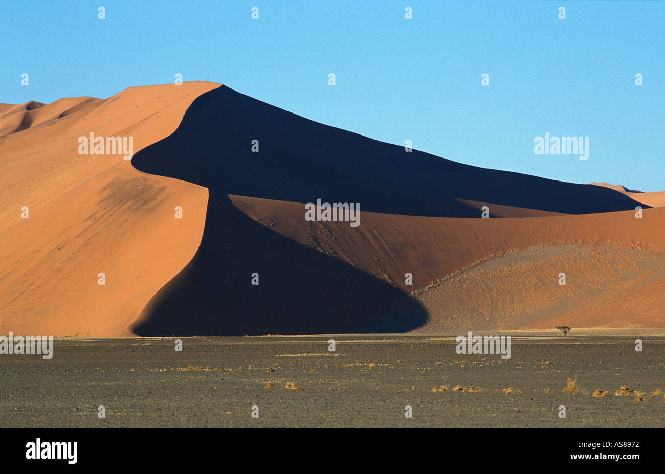 Sand dunes and surrounding desert at sunrise Namib Naukluft National ...