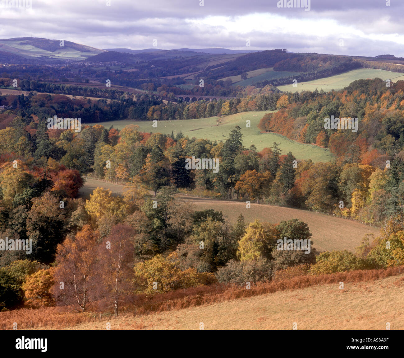 Autumn view in scottish borders hi-res stock photography and images - Alamy
