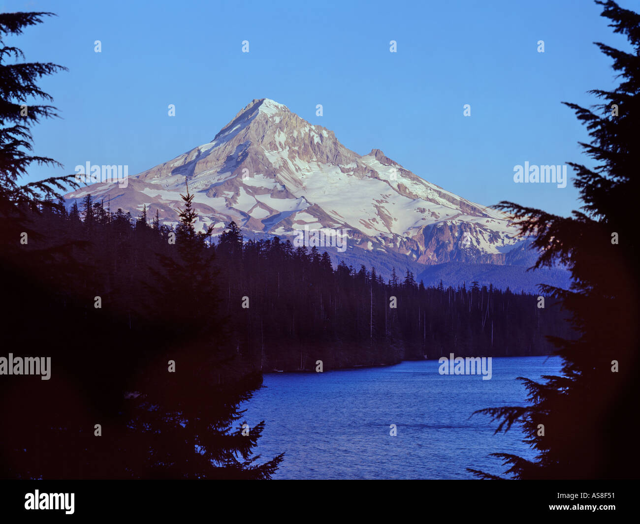 Mount Hood and Trillium Lake Oregon USA Stock Photo