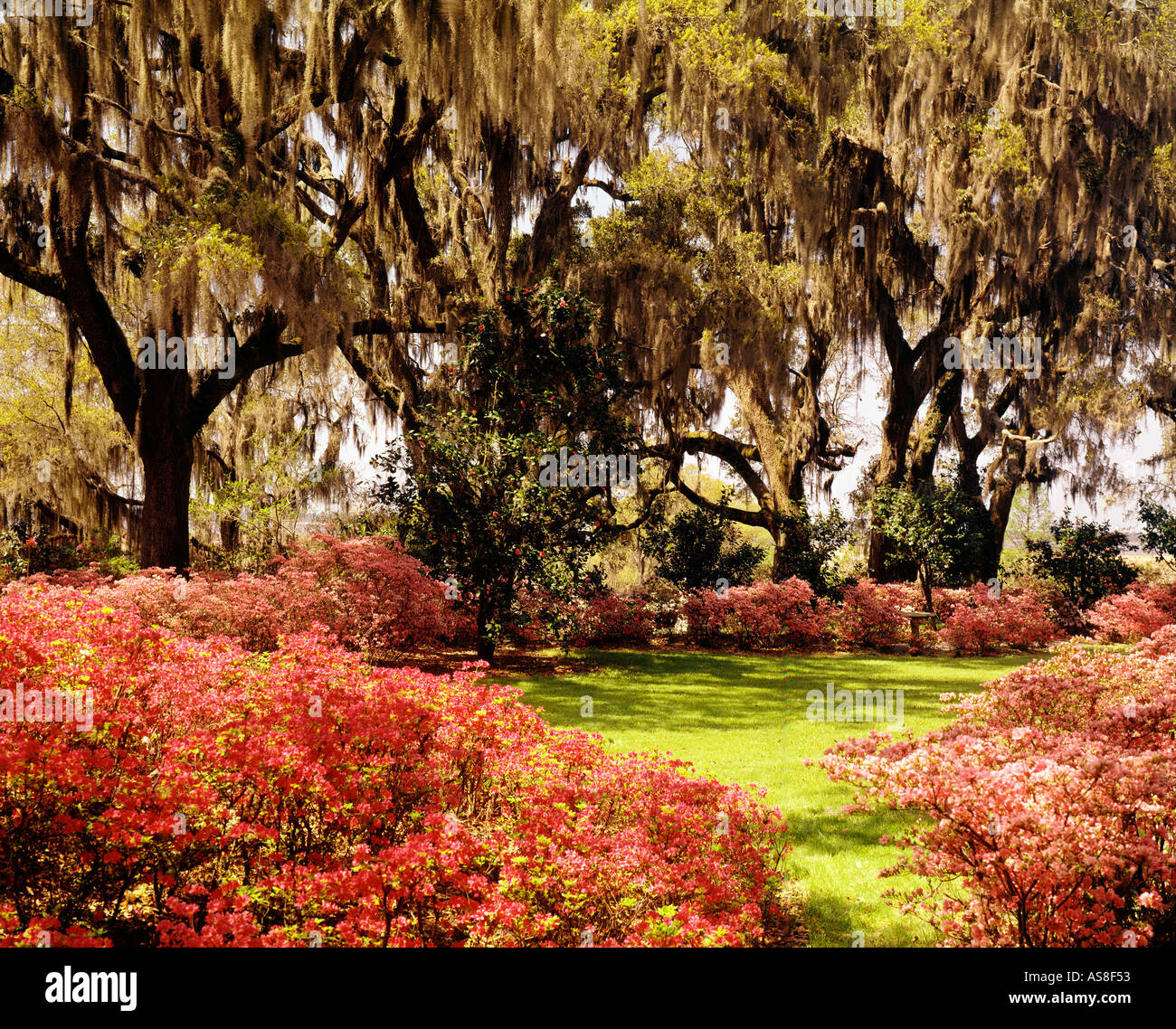 Orton Plantation Wilmington North Carolina USA Stock Photo Alamy