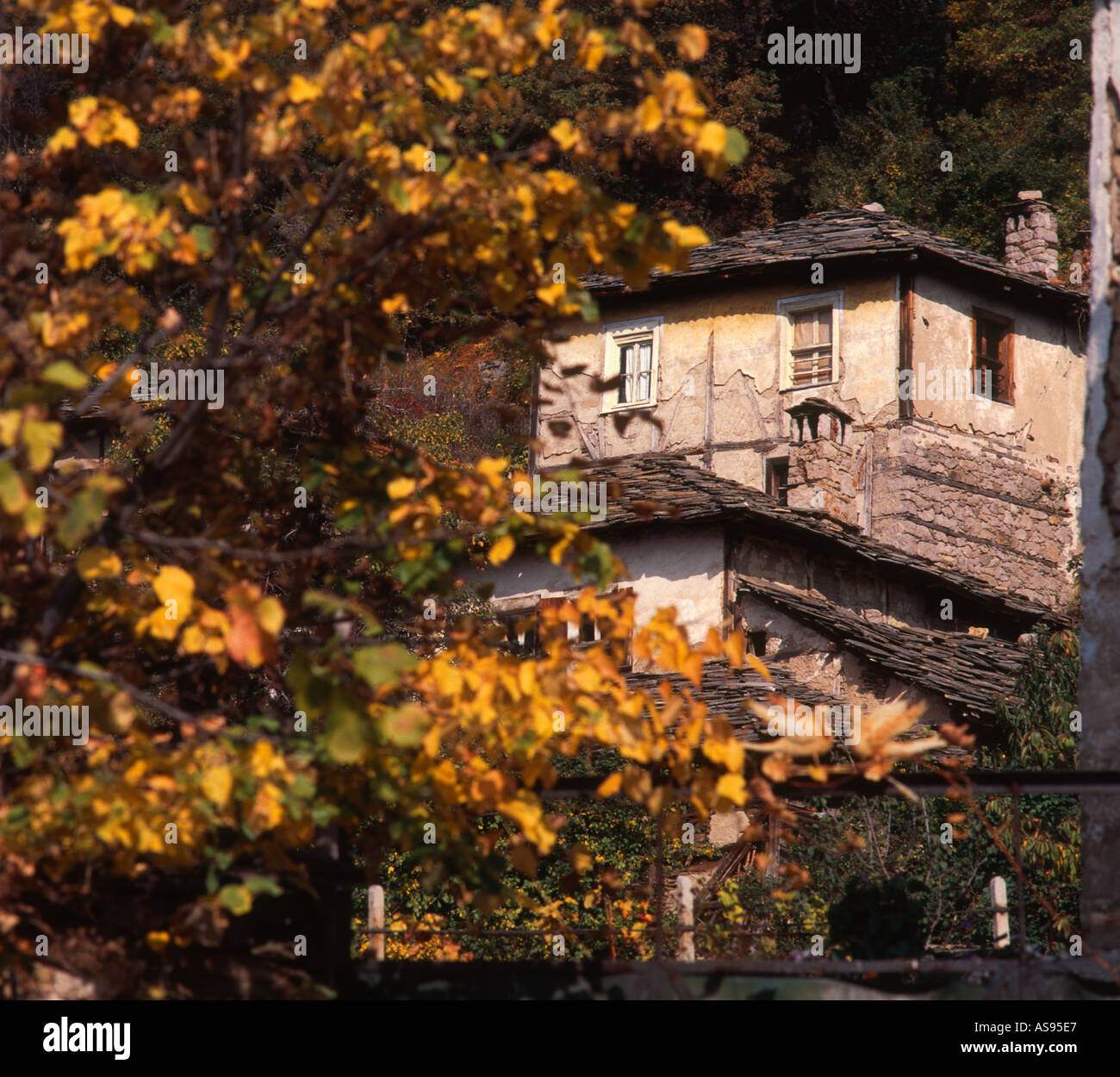 Houses in the forest Stock Photo - Alamy